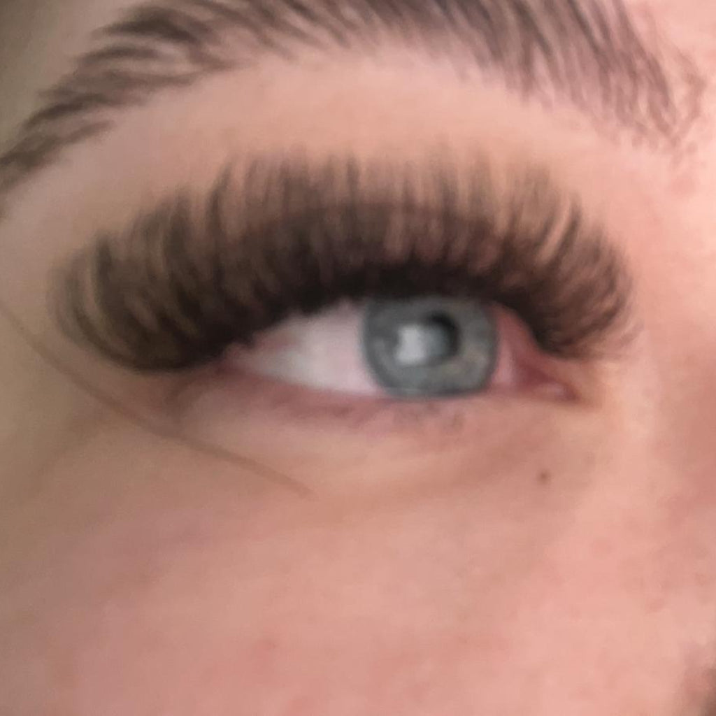 Brown 6D Clover Lashes – 16 Row Single Length Trays