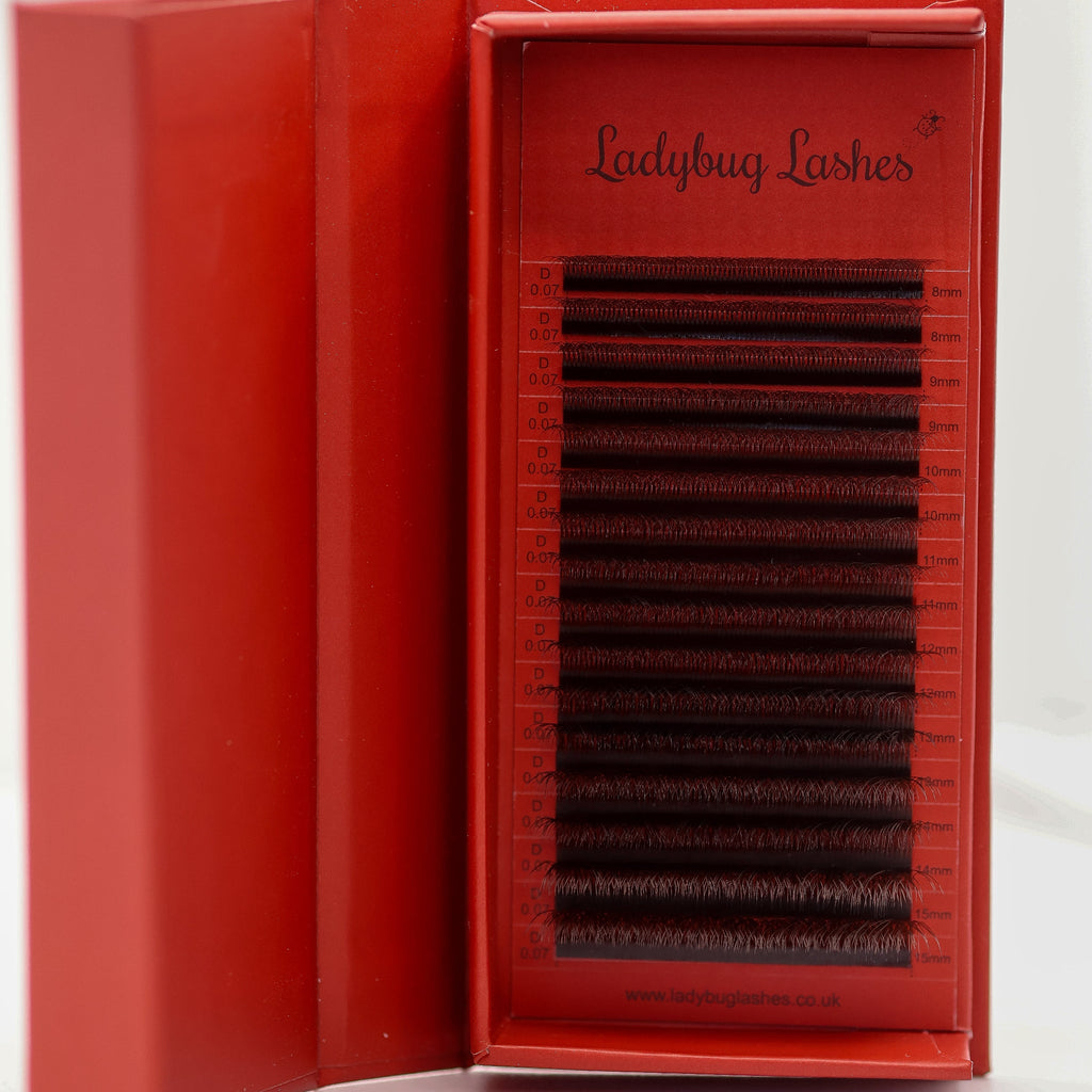 Brown 6D Clover Lashes – 16 Row Single Length Trays