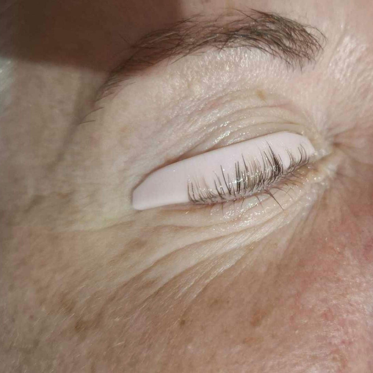 Hybrid Silicone Glueless Lash Lift Shield Individual Sizes