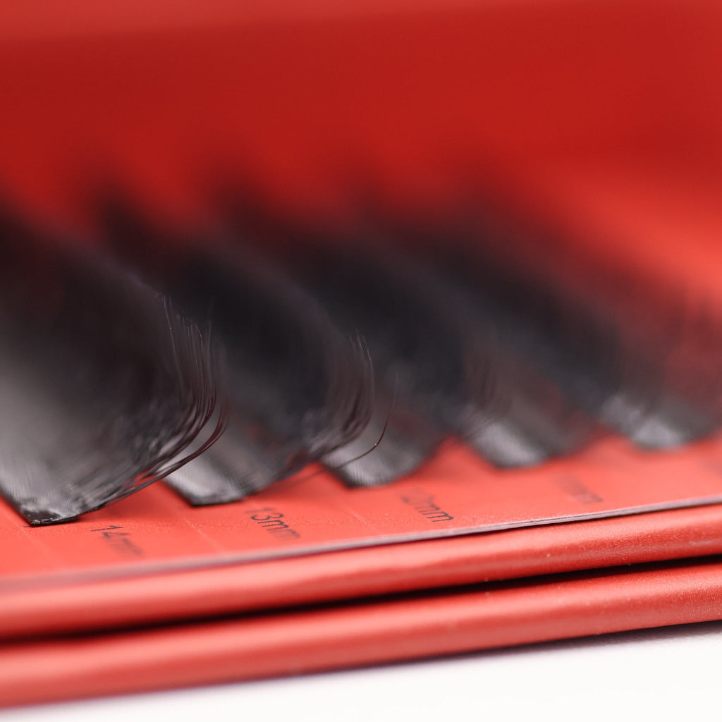 4D Clover Lash Sample Tray – 5 Rows