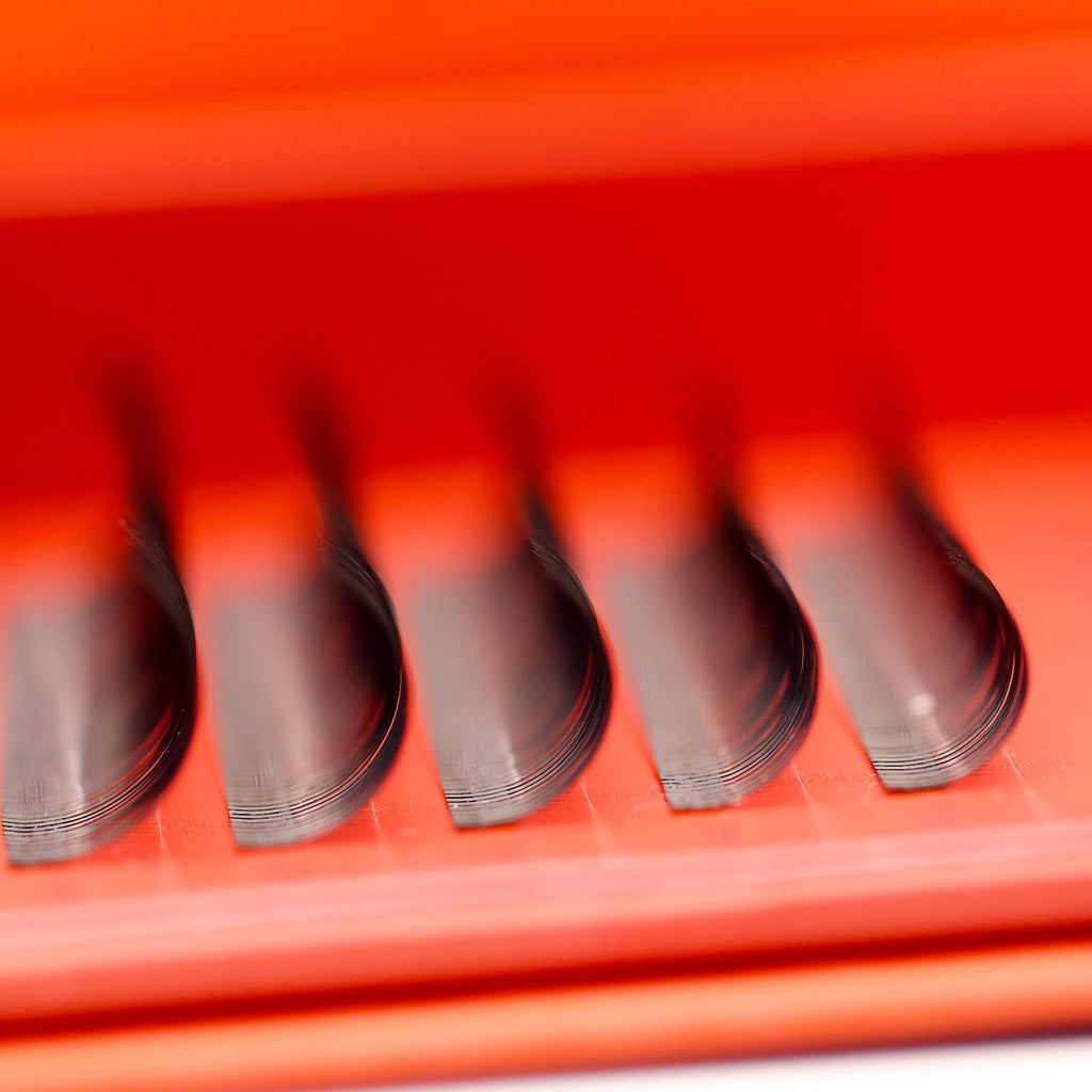 Premade Angel Lashes – 5D Closed Fans | 5 Row Tray