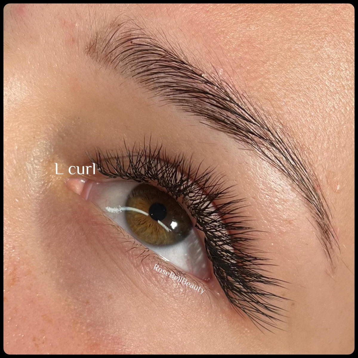L Curl Lash Sample Tray 0.07 5 Rows