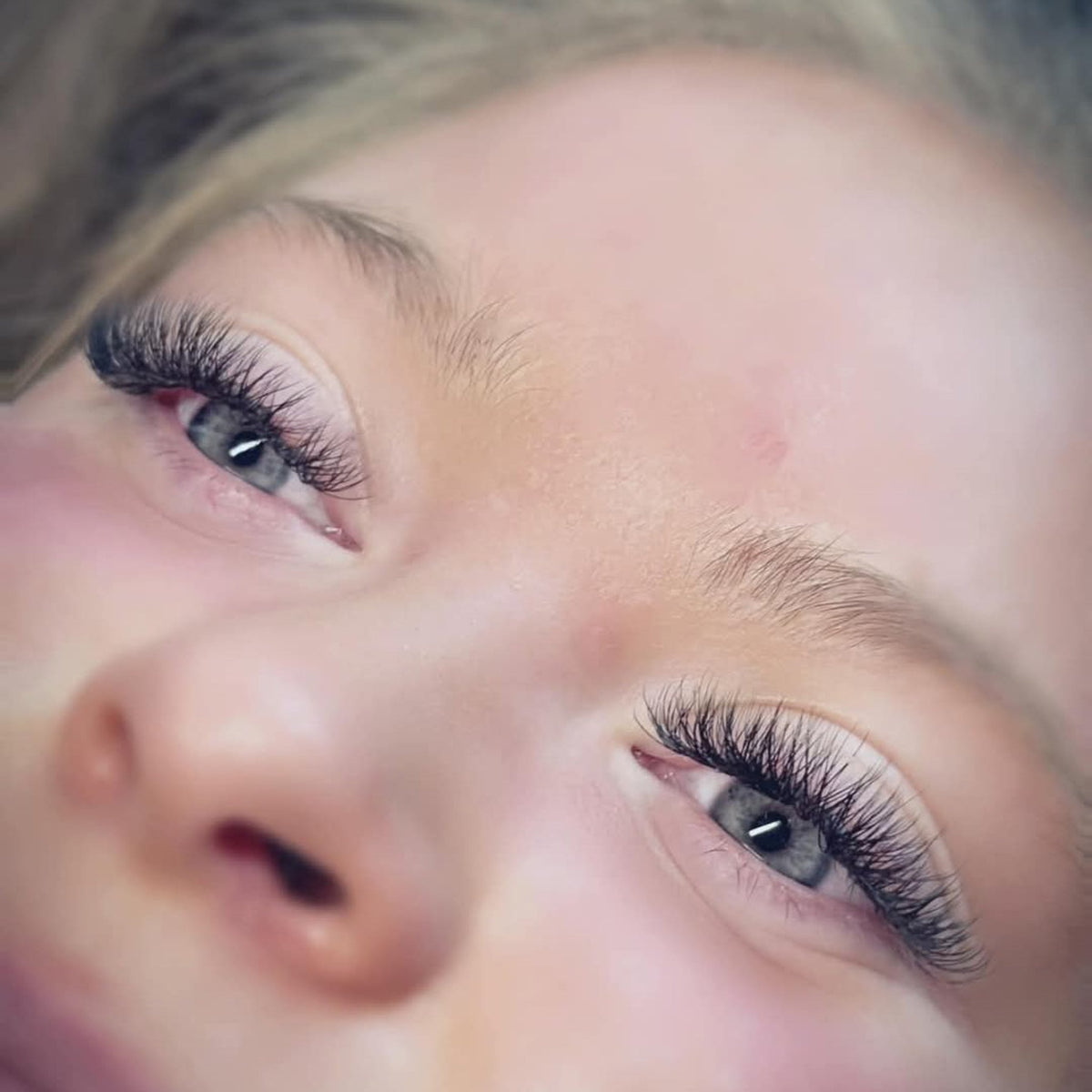 W Lashes – Mixed Tray