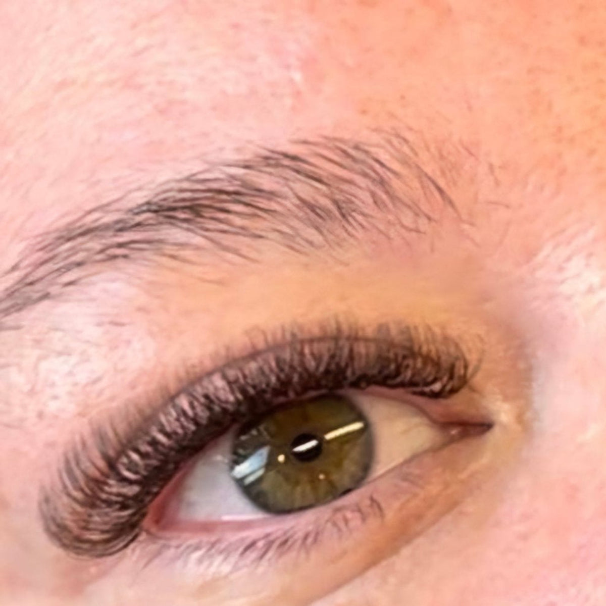 Brown 4D Clover Lashes – 16 Row Mixed Tray