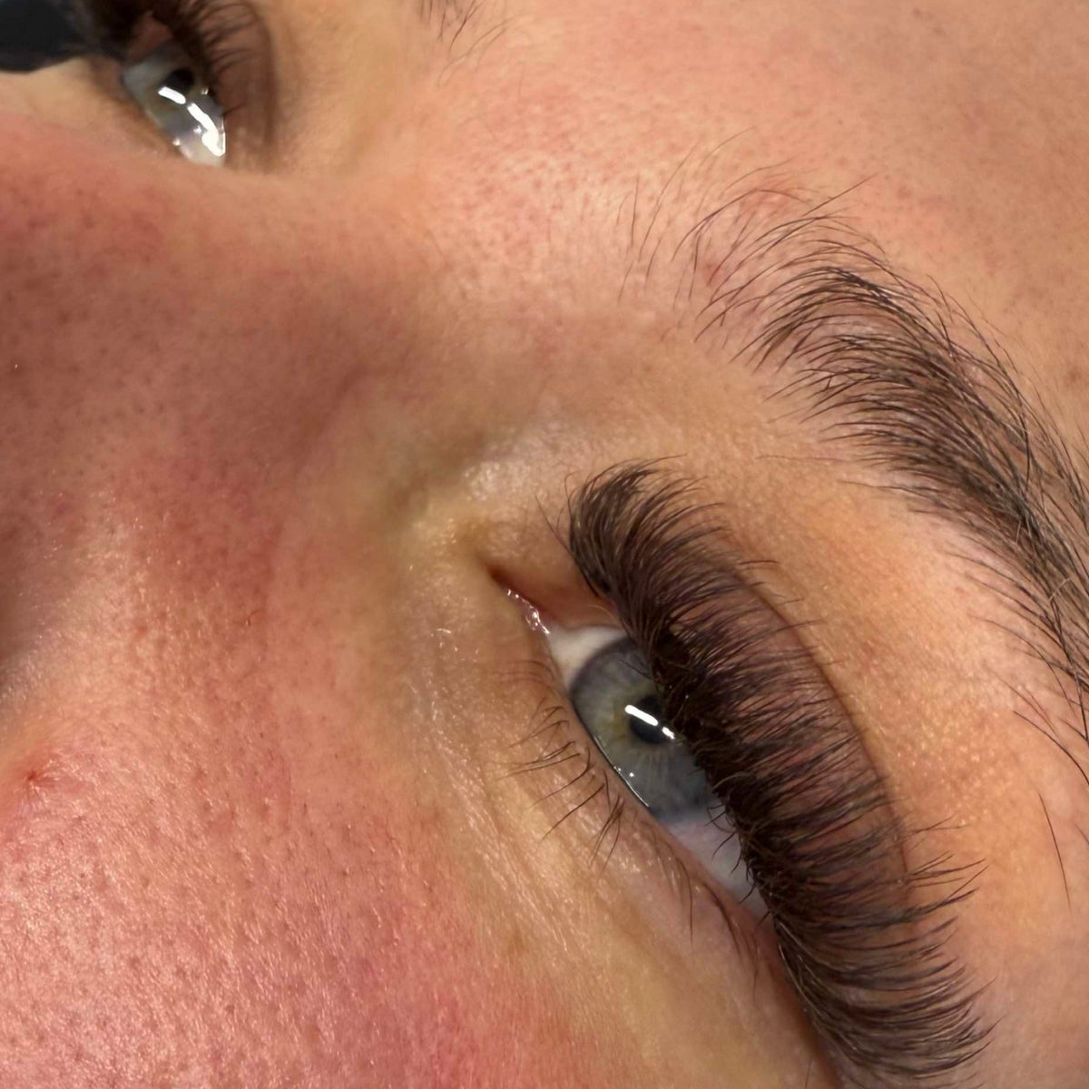 Brown Fairy Lashes – Mixed Tray