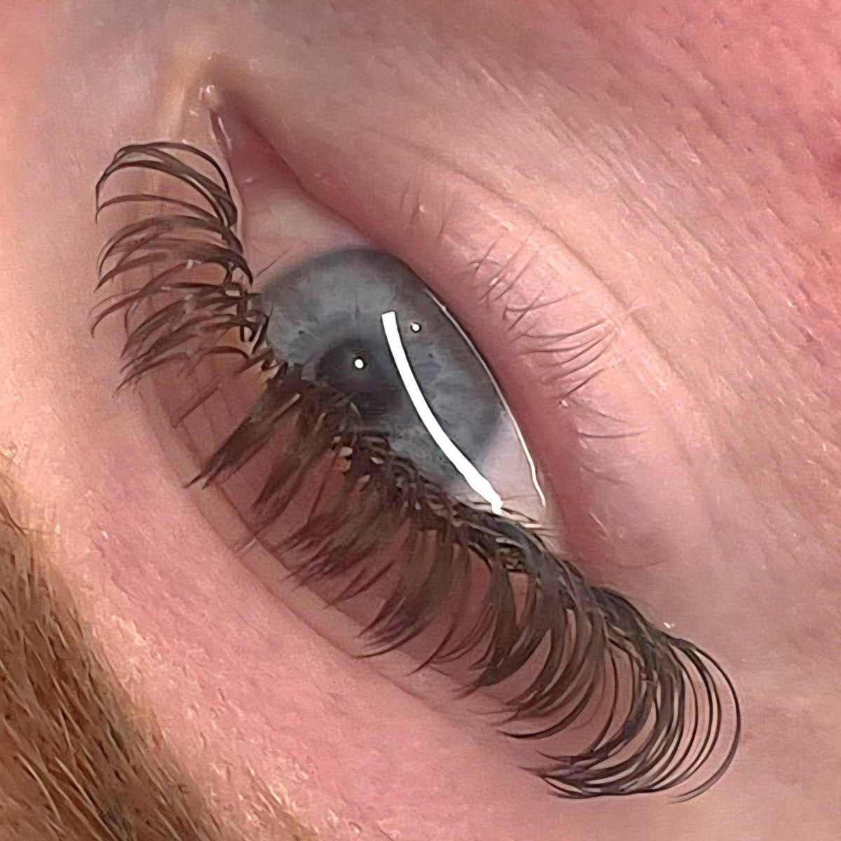 Brown Premade Angel Lashes 5D Closed Fans 16 Row Mixed Tray