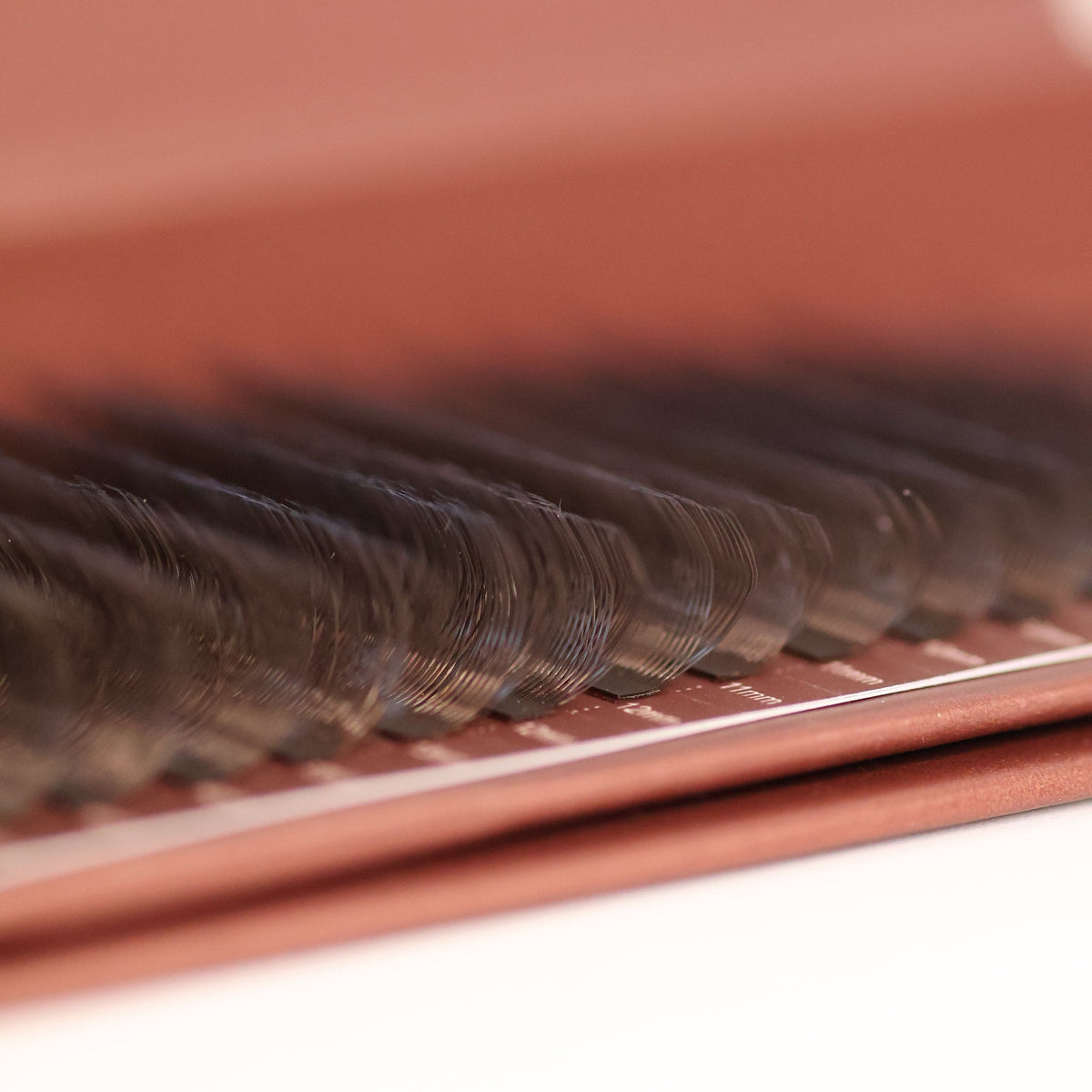 Brown W Lashes – Mixed Tray