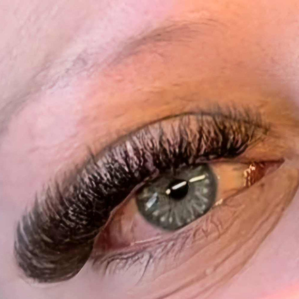 Brown 6D Clover Lashes – 16 Row Mixed Tray