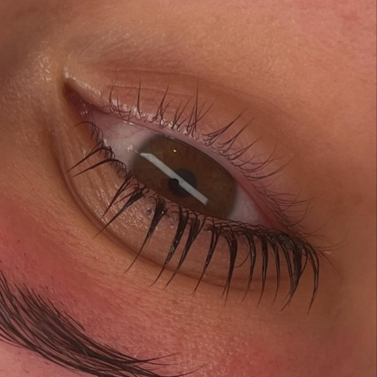 Flutter & Frame Lash Lift & Brow Lamination Airless Pumps 8ml