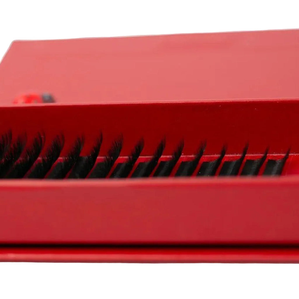 W Lashes – Mixed Tray
