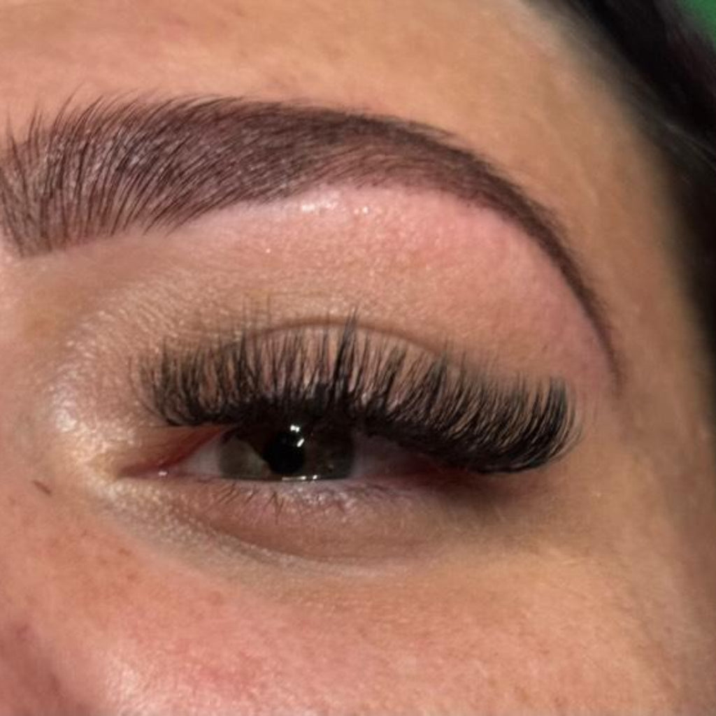 10D Clover Lashes – 16 Row Single Length Trays