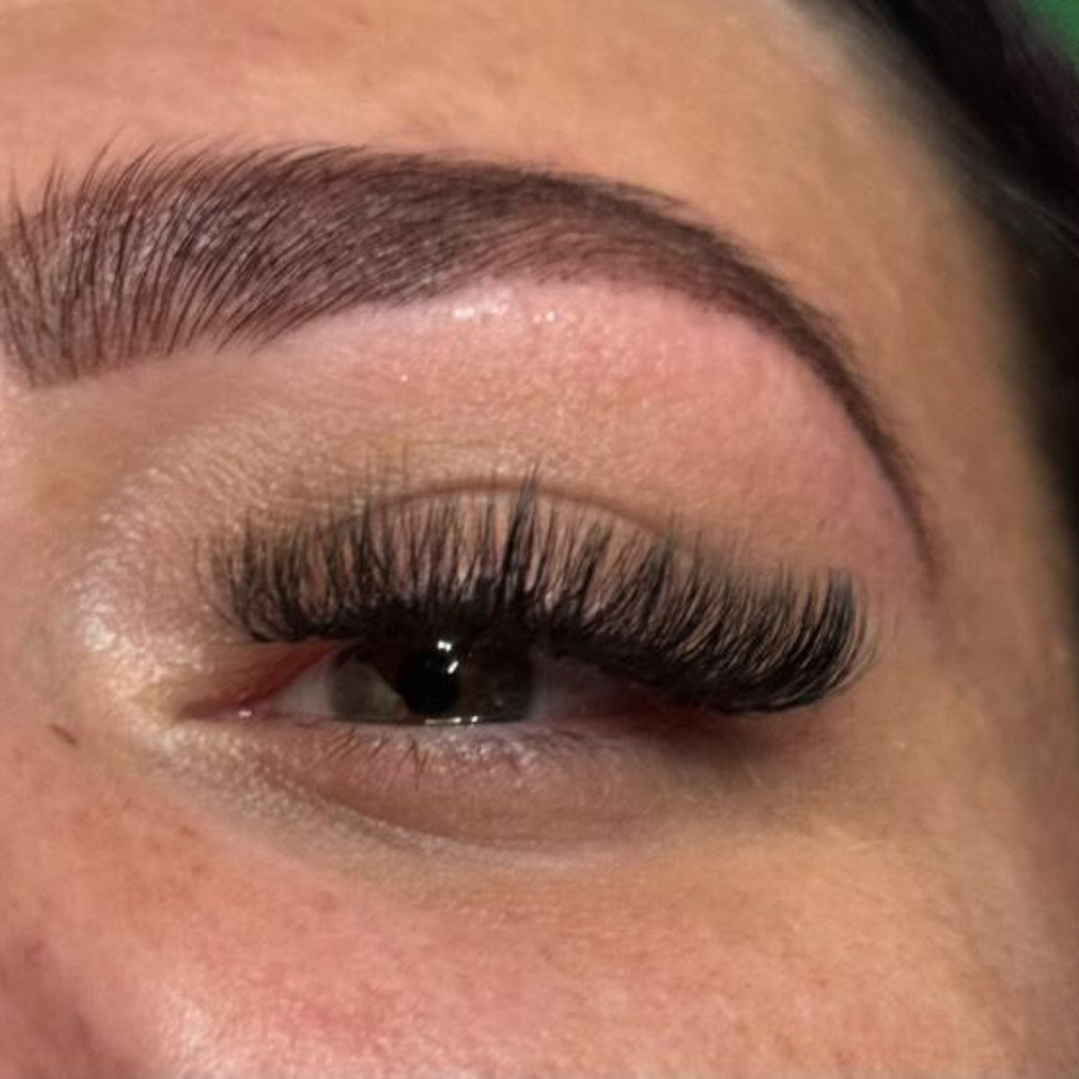 10D Clover Lashes – 16 Row Single Length Trays