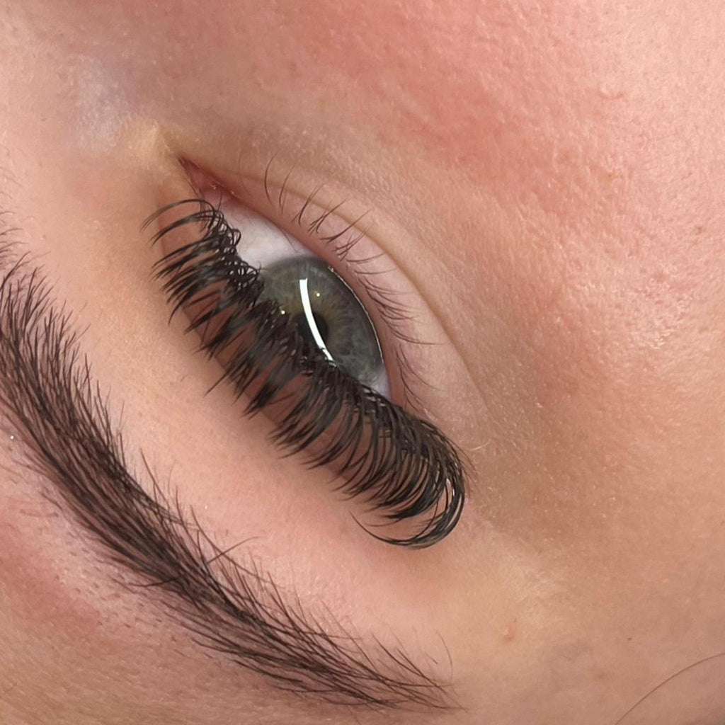 Premade Angel Lashes – 5D Closed Fans | 16 Row Mixed Tray