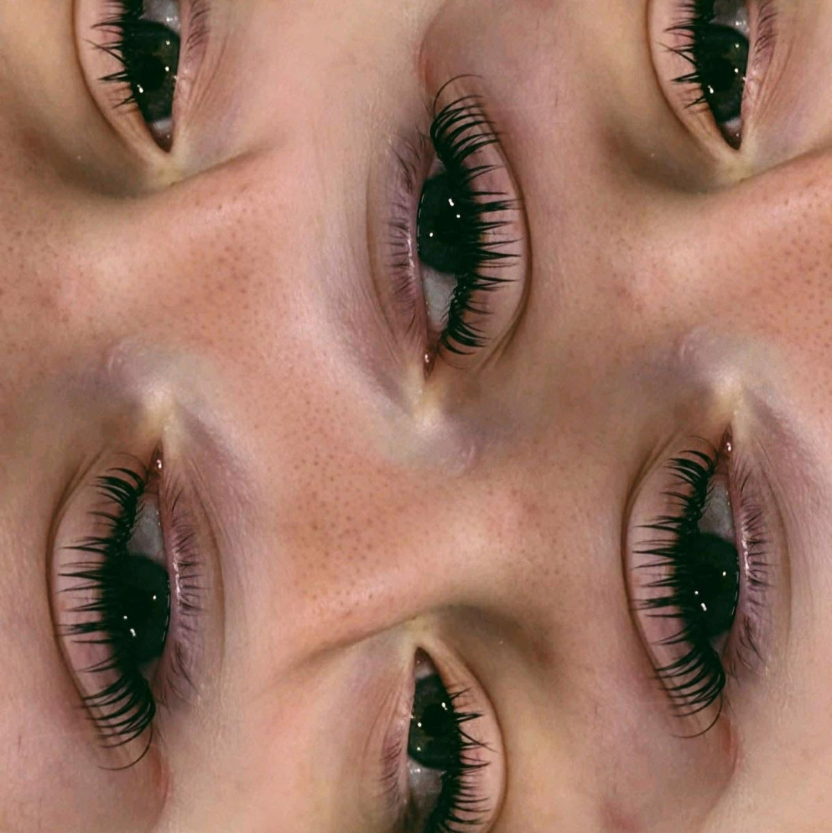 Premade Angel Lashes – 5D Closed Fans | 16 Row Mixed Tray