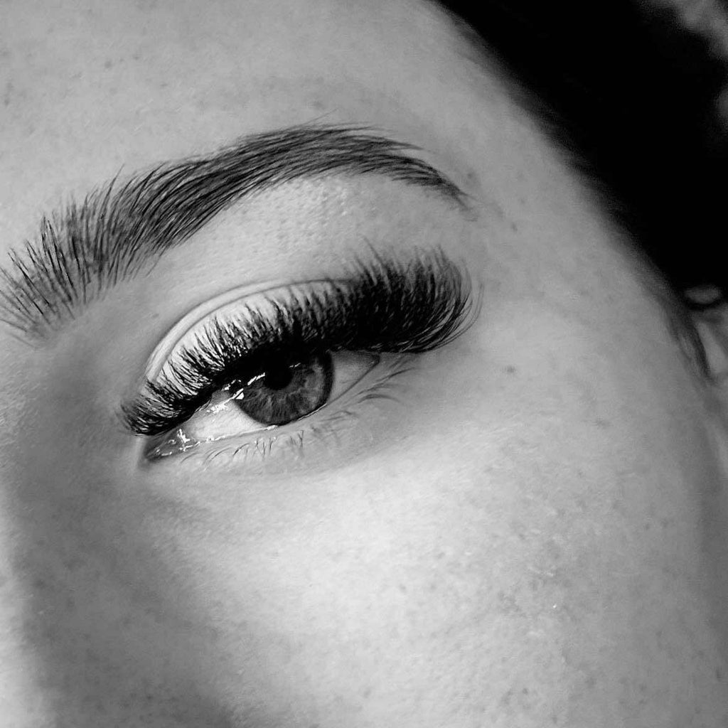 8D Clover Lashes – 16 Row Mixed Tray
