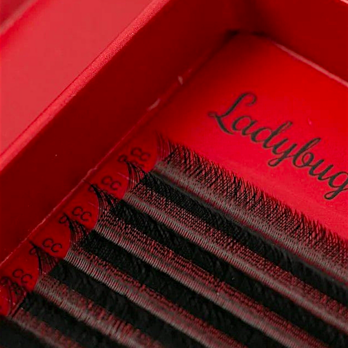 YY Lashes – 8–15mm Mixed Tray