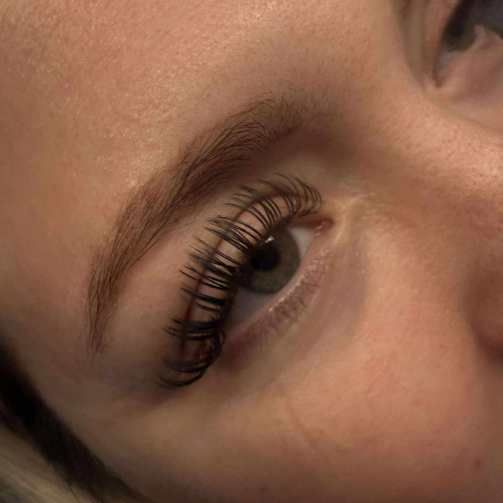 Premade Angel Lashes – 5D Closed Fans | 5 Row Tray
