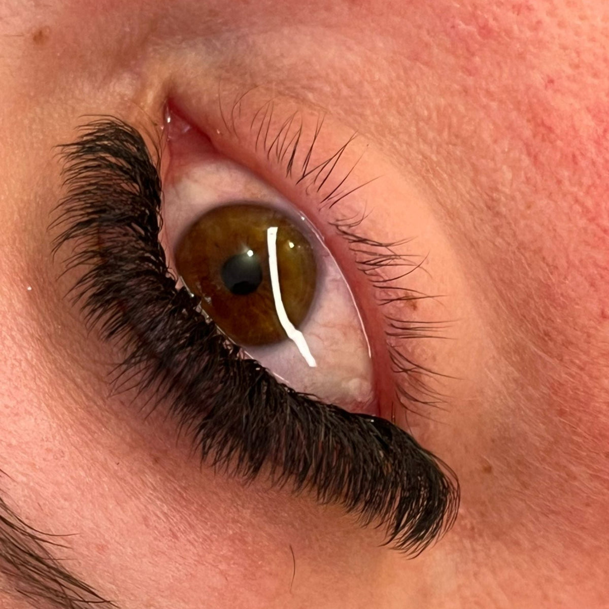 8D Clover Lashes – 16 Row Mixed Tray