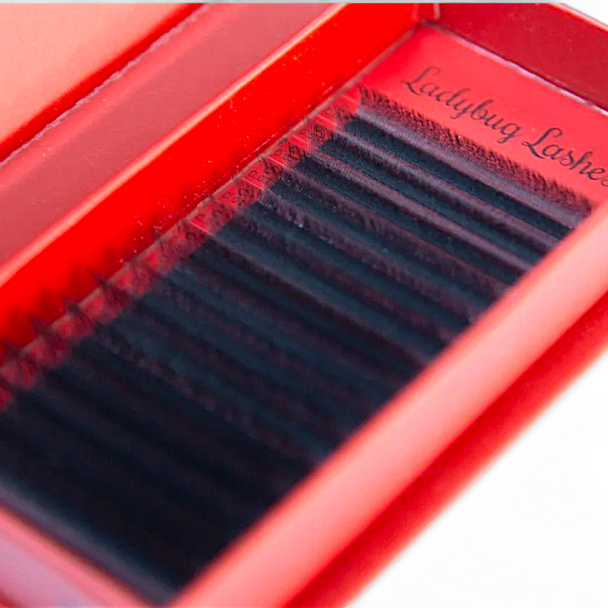 4D Clover Lashes – 16 Row Single Length Trays