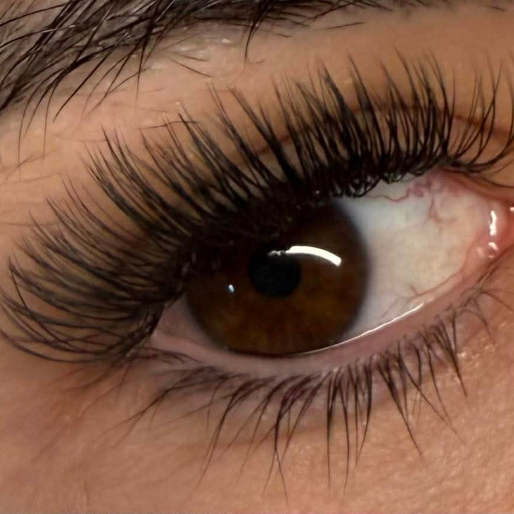 U Collection Lashes – 2DU, 3DU, 4DU & 5DU Single Length Trays