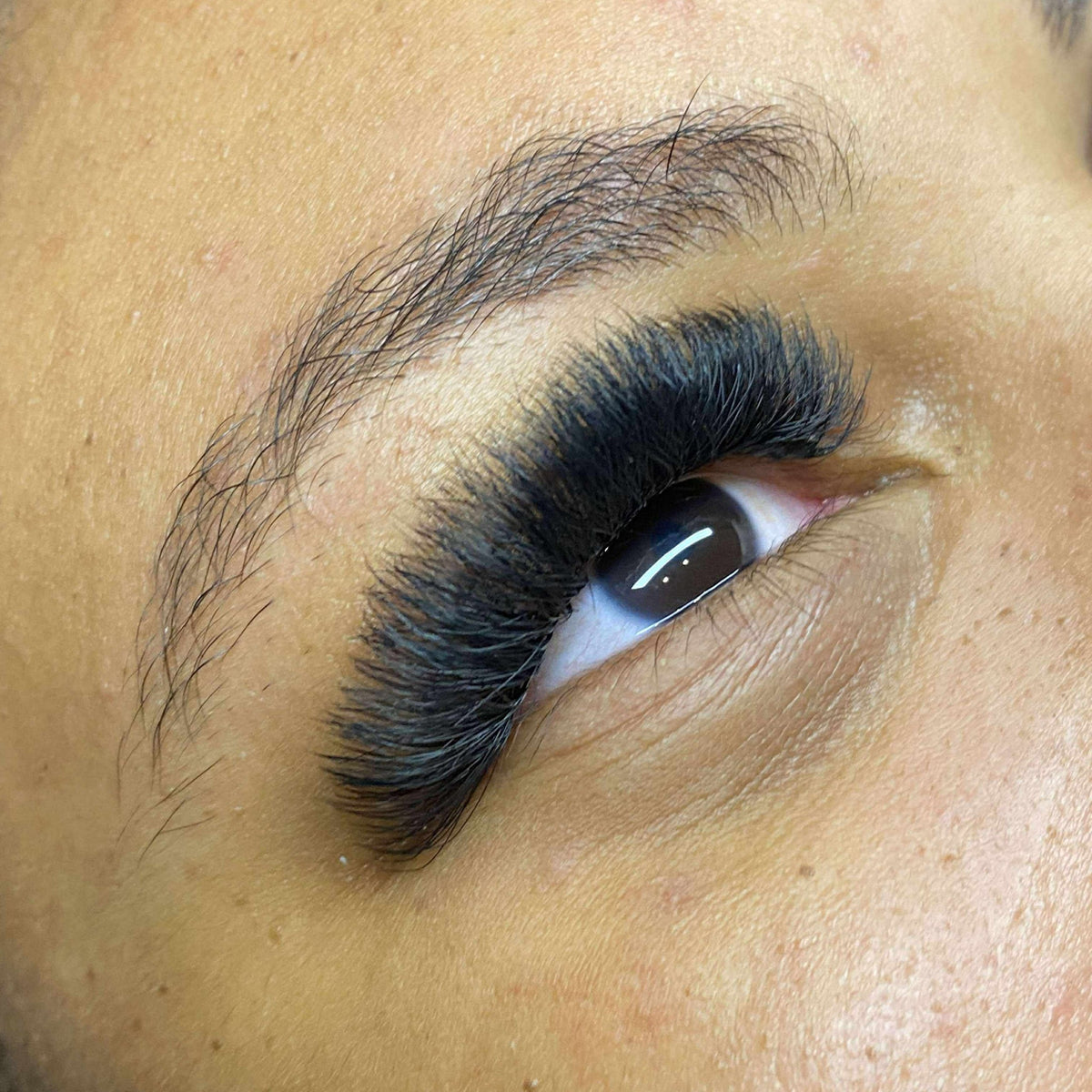 8D Clover Lashes – 16 Row Mixed Tray