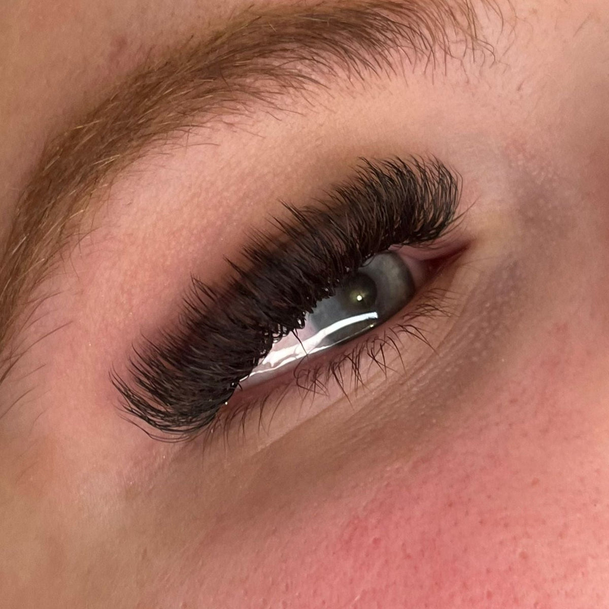 U Collection Lashes – 2DU, 3DU, 4DU & 5DU Single Length Trays