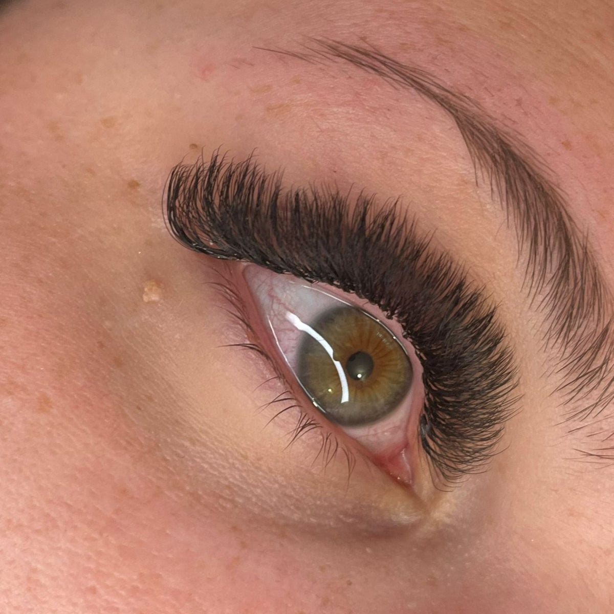 8D Clover Lash Sample Tray – 5 Rows