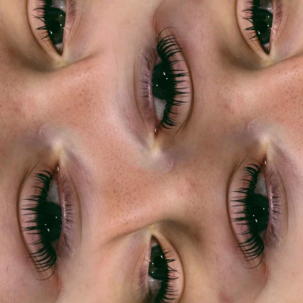 Premade Angel Lashes – 5D Closed Fans | 5 Row Tray