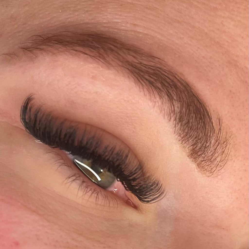 U Collection Lashes – 2DU, 3DU, 4DU & 5DU Single Length Trays