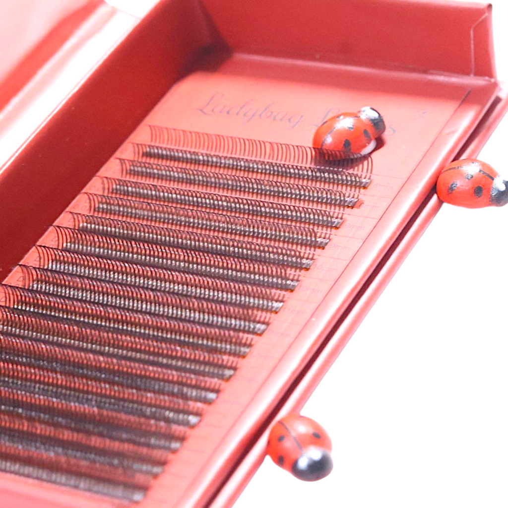 Brown Premade Angel Lashes 5D Closed Fans 16 Row Mixed Tray