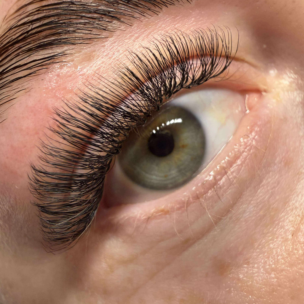 U Collection Lashes – 2DU, 3DU, 4DU & 5DU Single Length Trays