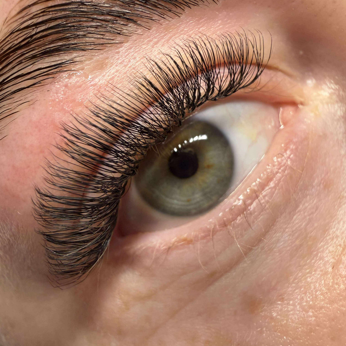 U Collection Lashes – 2DU, 3DU, 4DU & 5DU Single Length Trays