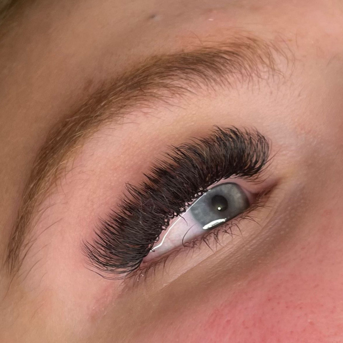 U Collection Lashes – 2DU, 3DU, 4DU & 5DU Single Length Trays