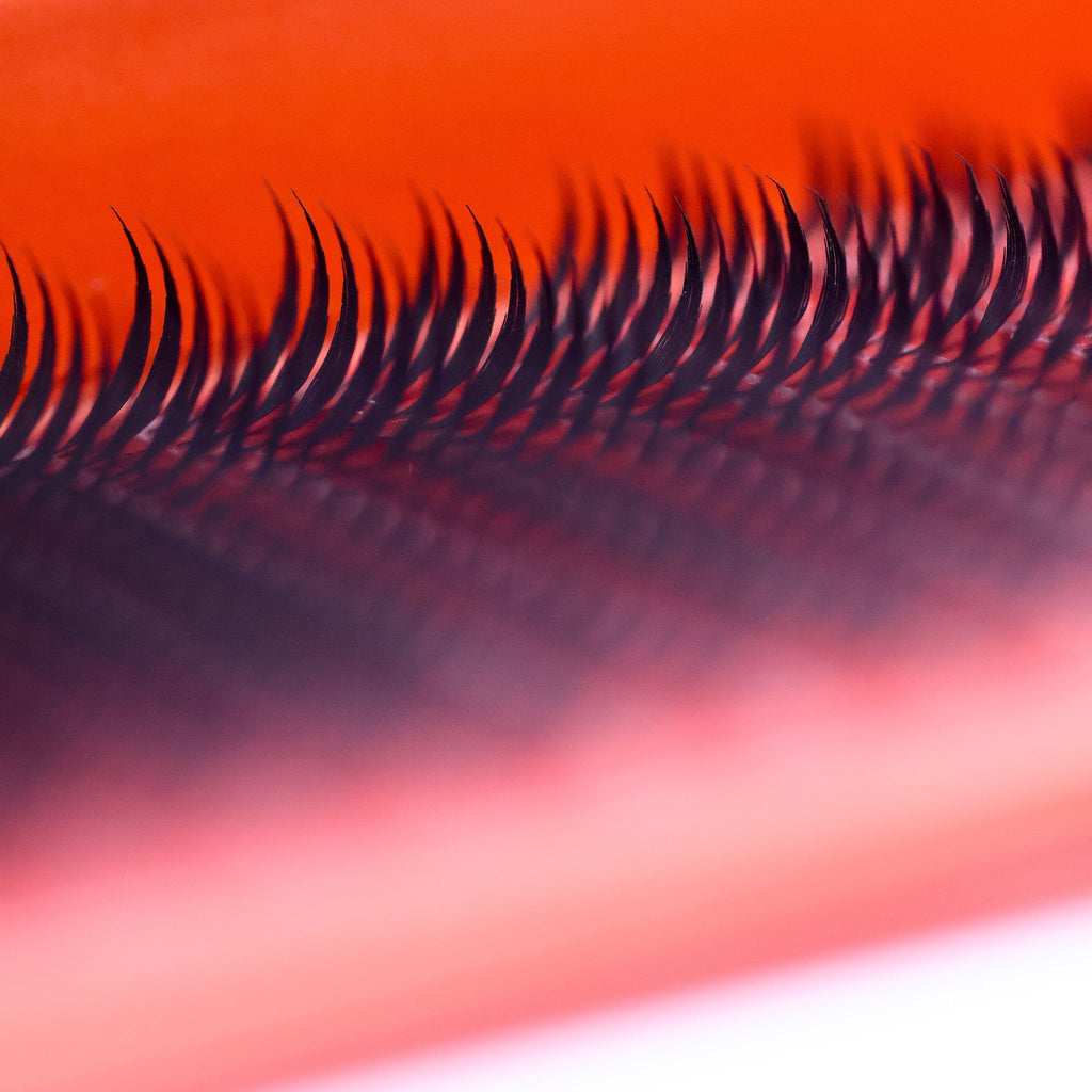 Anime Feather Lash Spikes 16 Row Tray